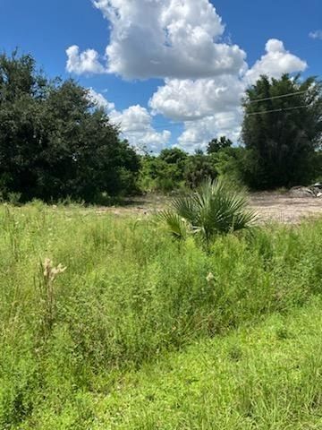2011 CALLE BONITO, Punta Gorda, FL, 33982 — photo 2