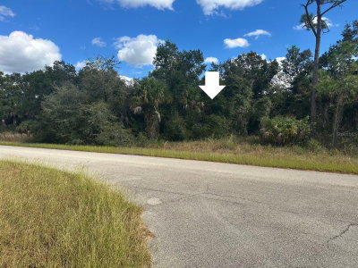 0 WHALING Road, North Port, FL, 34288 — photo 2