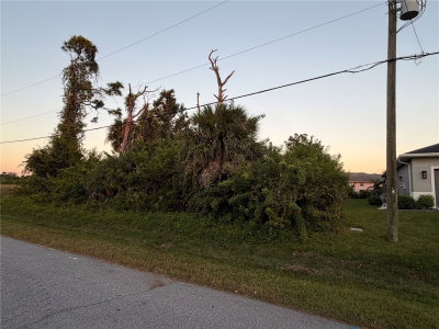 113 OPAL DR, Rotonda West, FL, 33947 — photo 2