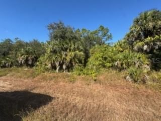 LOT 4 MATTOX Circle, North Port, FL, 34288 — photo 2