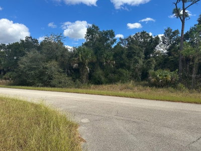 LISA Boulevard, North Port, FL, 34288 — photo 2
