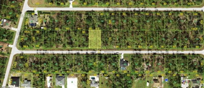 11998 COLEMAN Avenue, Port Charlotte, FL, 33981 — photo 2