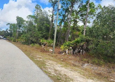 ANANAS Road, North Port, FL, 34288 — photo 2