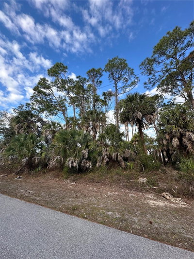 JOANN Terrace, North Port, FL, 34286 — photo 2