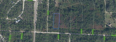 810 PACIFIC Street, Lake Placid, FL, 33852 — photo 2