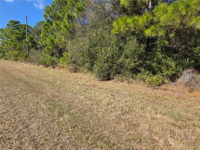 HORNBUCKLE Boulevard, North Port, FL, 34291 — photo 2