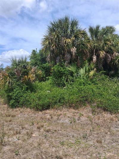 N HOLLOWAY Avenue, North Port, FL, 34288 — photo 2