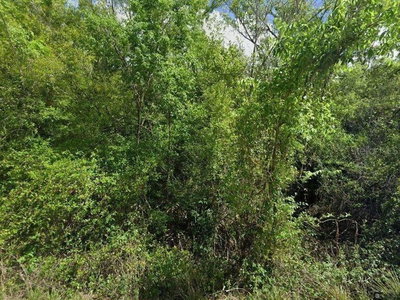8115 HORSE CREEK Road, Arcadia, FL, 34266 — photo 2