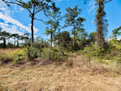 2007 TRUMAN Avenue, Alva, FL, 33920 — photo 2