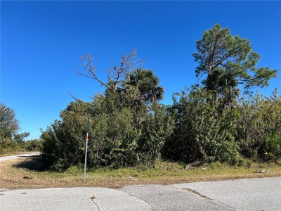 12145 SURREY AVE, Port Charlotte, FL, 33981 — photo 2