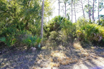 SEDBERRY Avenue, North Port, FL, 34288 — photo 2