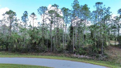 Lots 14 and 15, LATOUR Avenue, North Port, FL, 34291 — photo 2