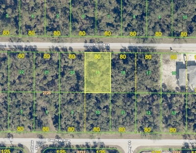 17175 ALVIN Avenue, Port Charlotte, FL, 33948 — photo 2
