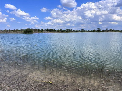 48033 BERMONT Road, Punta Gorda, FL, 33982 — photo 2