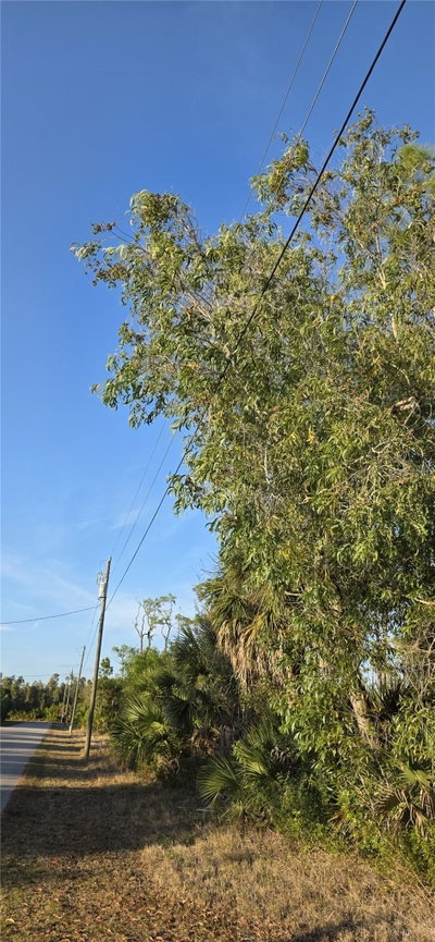 13262 GORMAN Avenue, Port Charlotte, FL, 33981 — photo 2