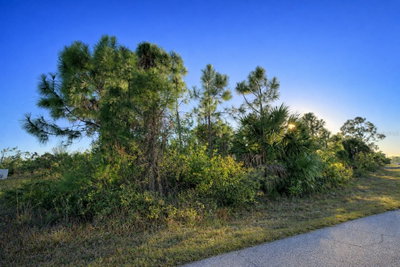 12121 SNOW BIRD Avenue, Port Charlotte, FL, 33981 — photo 2