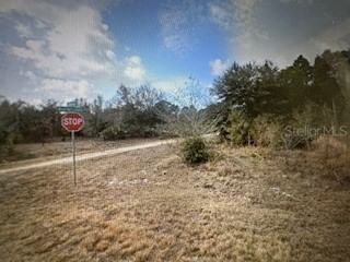 13274 CALOOSA Drive, Punta Gorda, FL, 33955 — photo 2