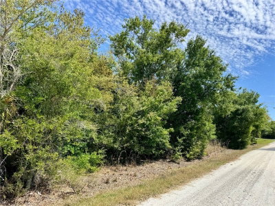 27054 MINGO Drive, Punta Gorda, FL, 33955 — photo 2