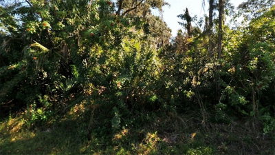 TUCSON Road, North Port, FL, 34286 — photo 2