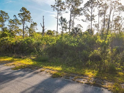 BLUELEAF Drive, North Port, FL, 34288 — photo 2