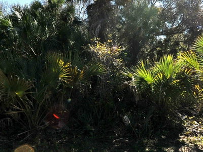 LAKEPORT Street, North Port, FL, 34288 — photo 2