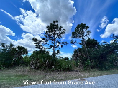 12231 GRACE Avenue, Port Charlotte, FL, 33981 — photo 2