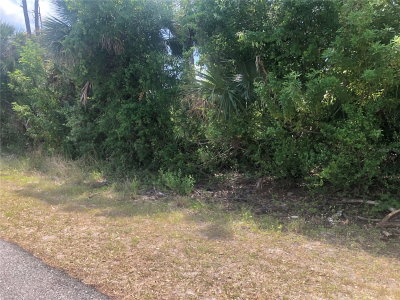 DANDURAND Avenue, North Port, FL, 34291 — photo 2