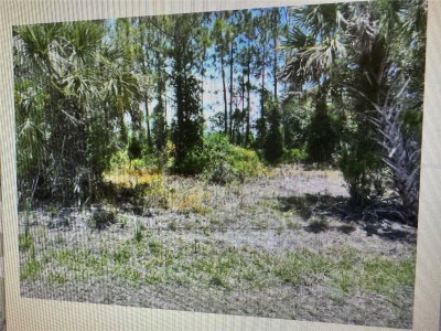 SAGO PALM Road, North Port, FL, 34291 — photo 2
