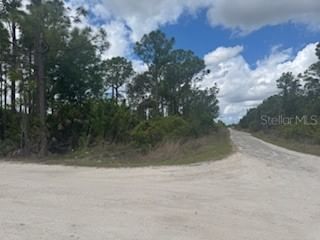 29459 CLARA Drive, Punta Gorda, FL, 33982 — photo 2