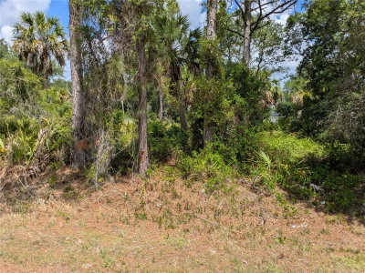 DELIGHT Avenue, North Port, FL, 34288 — photo 2