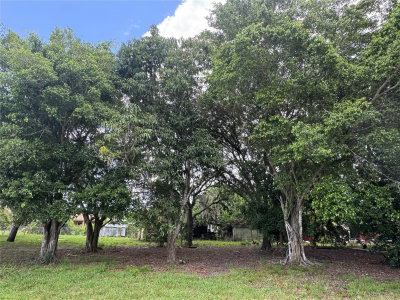 WASHINGTON Avenue, Immokalee, FL, 34142 — photo 2