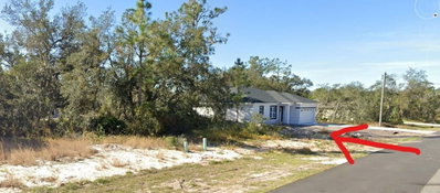 377 AMBERJACK Court, Kissimmee, FL, 34759 — photo 2