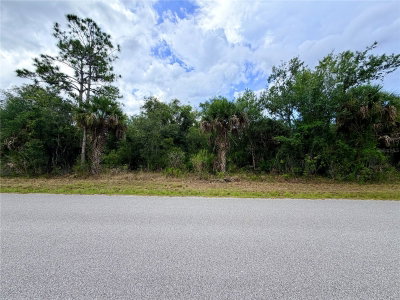 13334 GOLD Avenue, Port Charlotte, FL, 33953 — photo 2