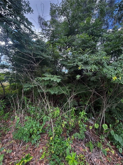 LEE Street, Bowling Green, FL, 33834 — photo 2