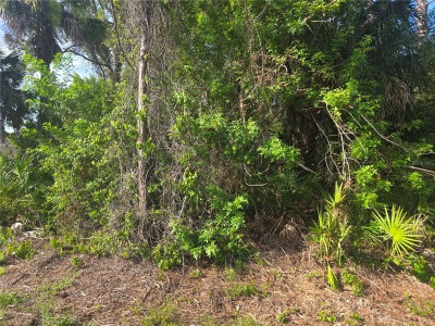 PRONTO Lane, North Port, FL, 34286 — photo 2