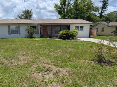 34 SEVILLA Avenue, Arcadia, FL, 34266 — photo 2