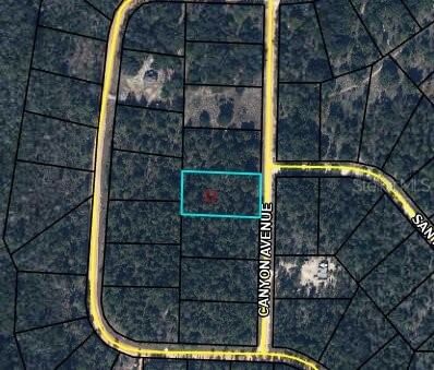 CANYON Avenue, Alford, FL, 32420 — photo 2
