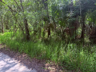 NE RIVER RIDGE Avenue, Arcadia, FL, 34266 — photo 2