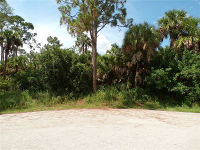 TORCH COURT, North Port, FL, 34288 — photo 2