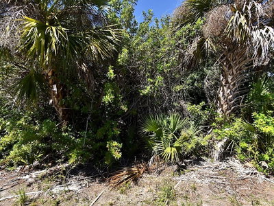 WHEELING Avenue, North Port, FL, 34288 — photo 2