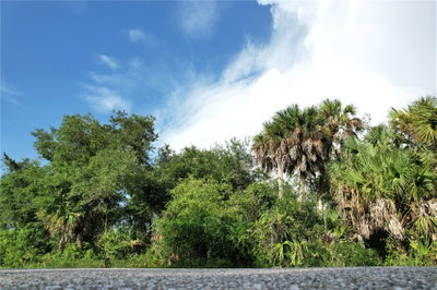 2140 FERNWOOD Street, Port Charlotte, FL, 33948 — photo 2