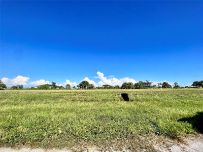 3833 38TH Avenue, Cape Coral, FL, 33993 — photo 2