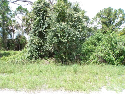 CONSTITUTION Drive, North Port, FL, 34291 — photo 2