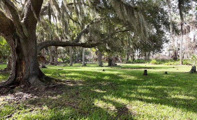 AURIN GRADE, Arcadia, FL, 34266 — photo 2