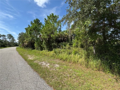 Lot 7 GASCOM Street, North Port, FL, 34288 — photo 2