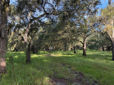 1284 RIVER MILL Drive, Arcadia, FL, 34266 — photo 2