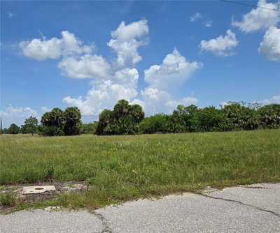 12310 QUAIL Road, Placida, FL, 33946 — photo 2