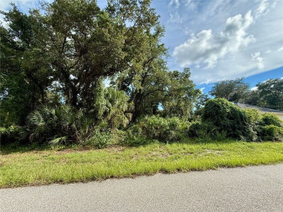 16229 LIMERICK Avenue, Port Charlotte, FL, 33954 — photo 2