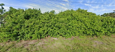 6161 ROBERTA Drive, Englewood, FL, 34224 — photo 2