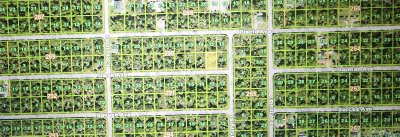 18198 GARTH Avenue, Port Charlotte, FL, 33948 — photo 2